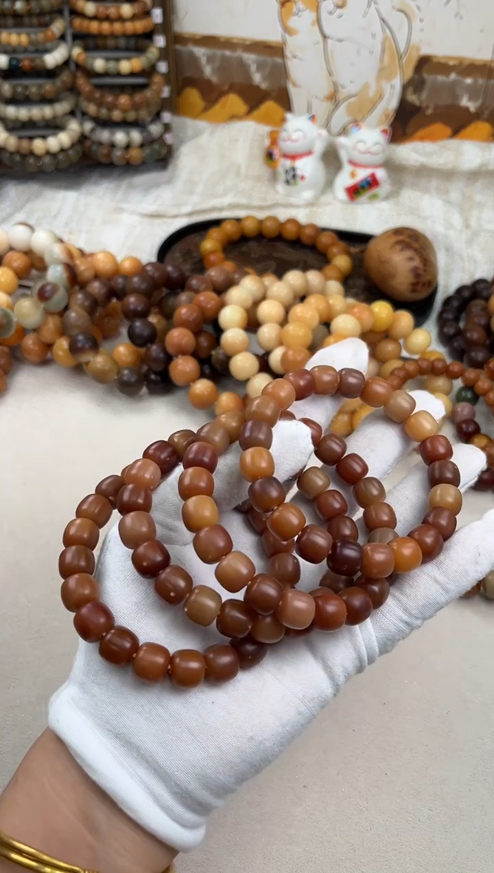 菩提根/象牙果手串a425卡12 干磨麻子天然