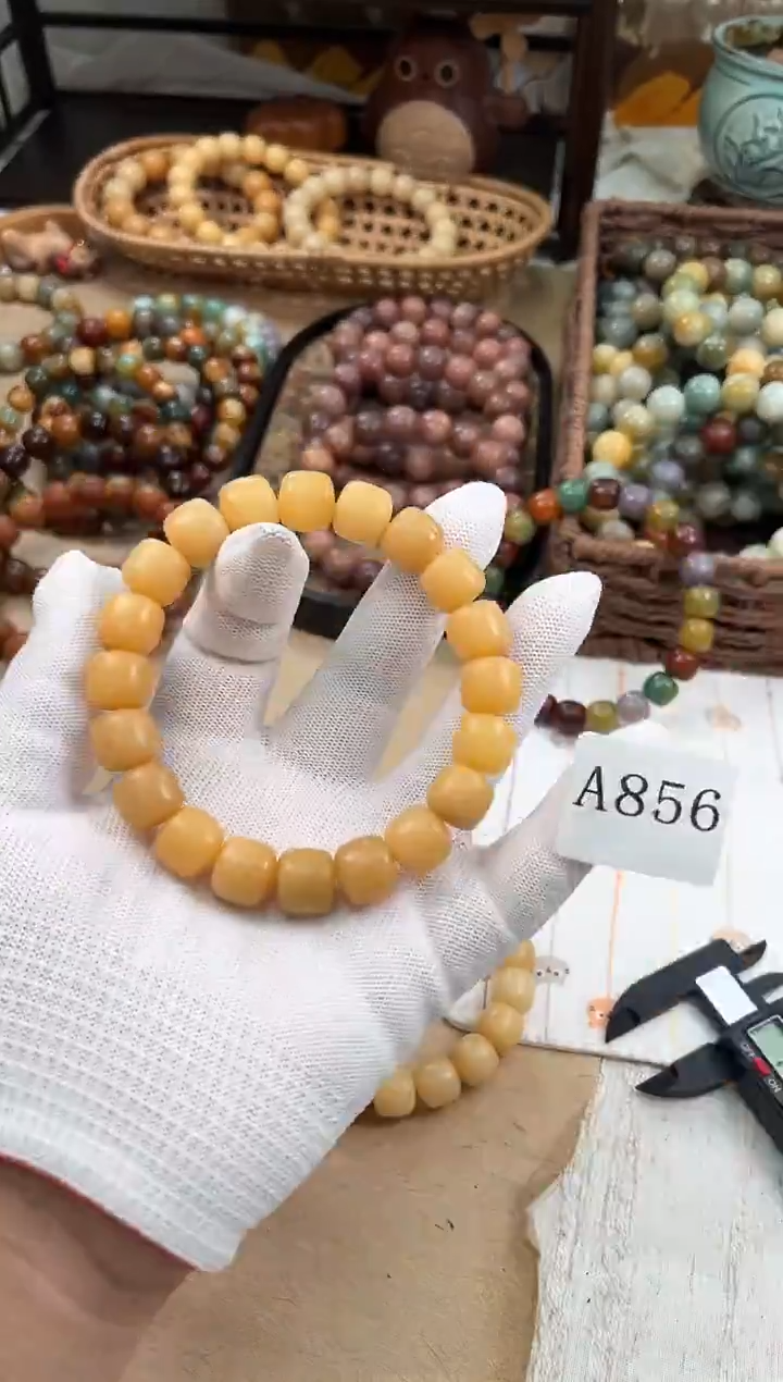 手串菩提根/象牙果a856卡13 干磨海子
