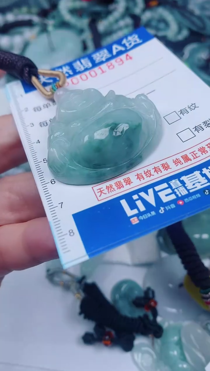 颈饰未镶嵌翡翠00001894