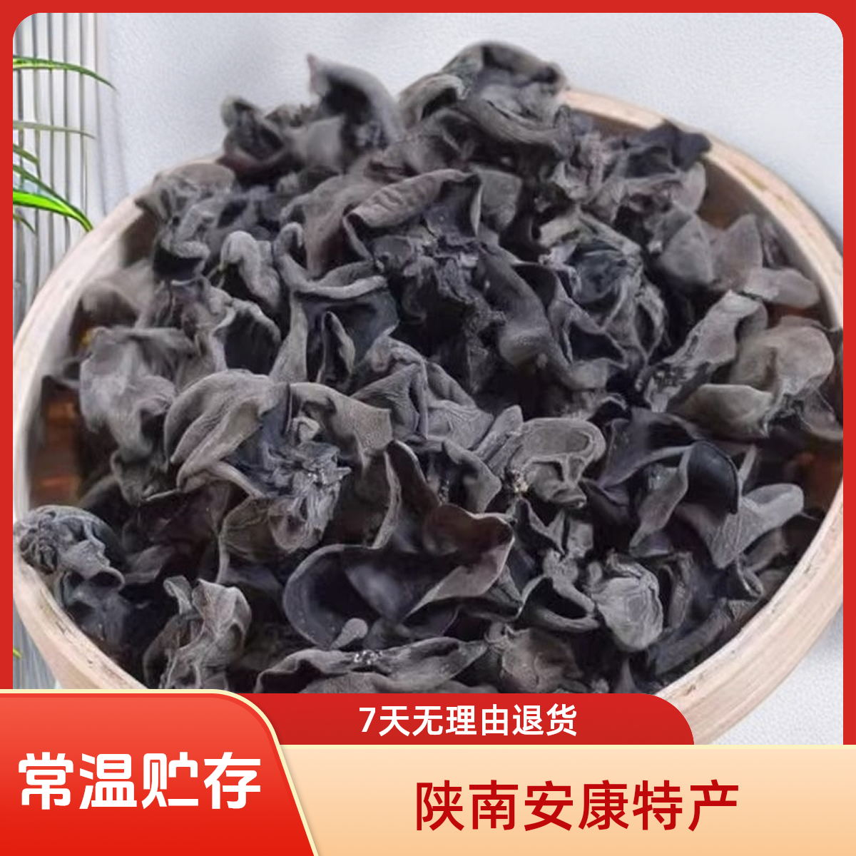 陕西特产黑木耳陕南安康土特产石泉黑秋木耳汉阴紫阳小碗耳干货