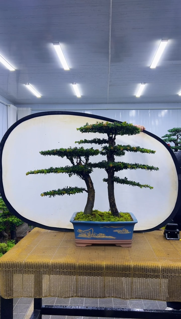 000000000000000000000000