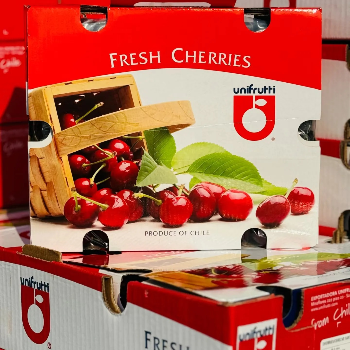 【次日到】海运智利进口锁扣大品牌原箱3JD5斤装车厘子内附果径卡桑提娜樱桃智利共和国