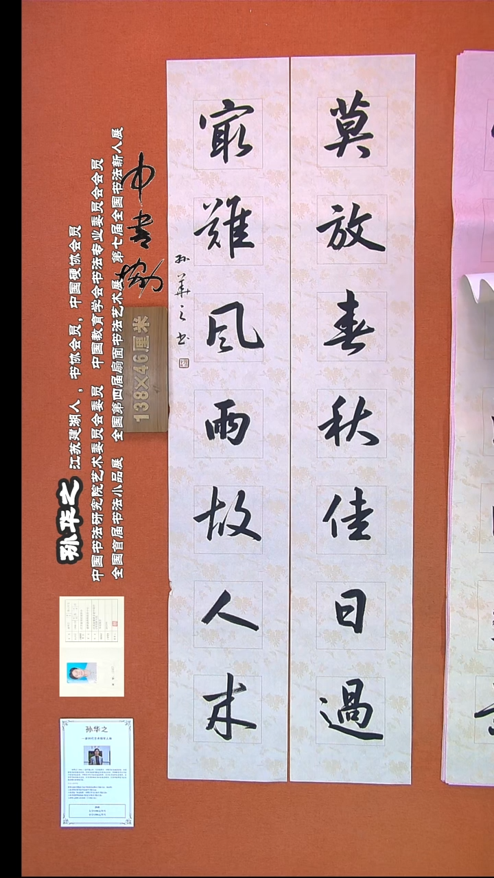 【闪购商品】书法776孙华之书法作品