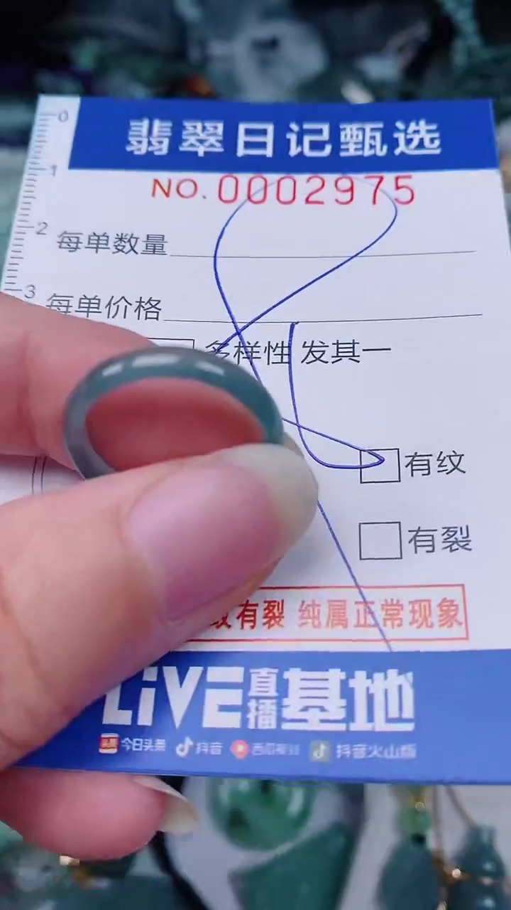 翡翠未镶嵌颈饰00002975