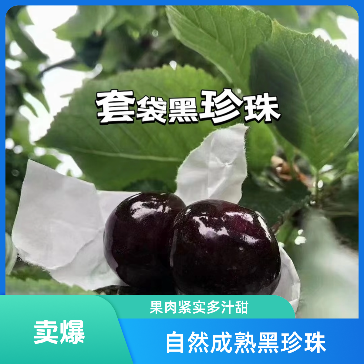 （顺丰冷链新鲜现摘）四川套袋黑珍珠车厘子新鲜现摘大樱桃当季孕妇果J2斤装4斤黑珍珠樱桃