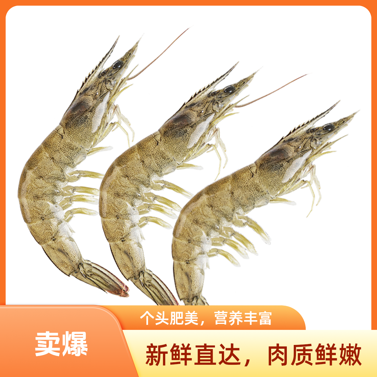 冰鲜基围虾/斤