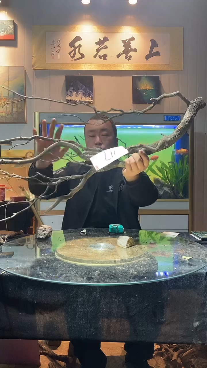 117号精品天然黄栎木适合120缸