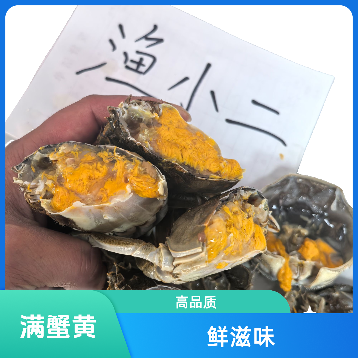江苏蟹【3.5两】母蟹【要几只加几只】