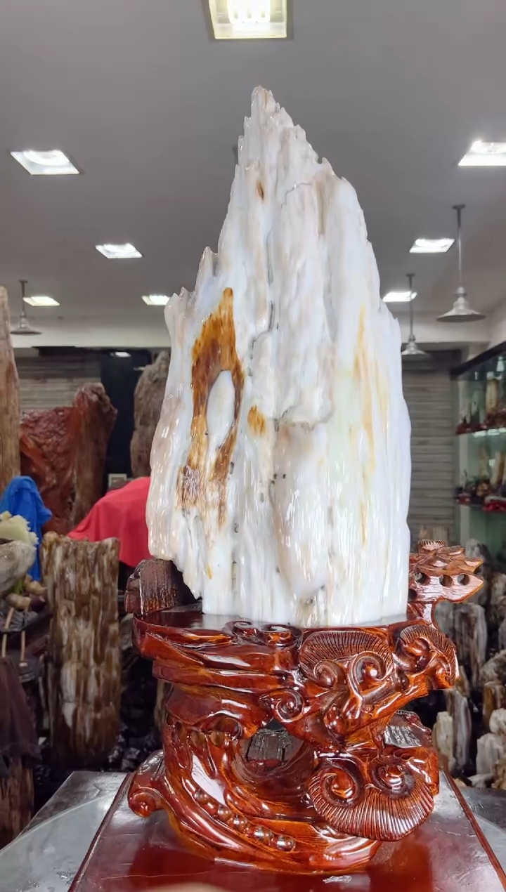 【闪购商品】硅化玉珠宝奇石未镶嵌缅甸天然树化玉