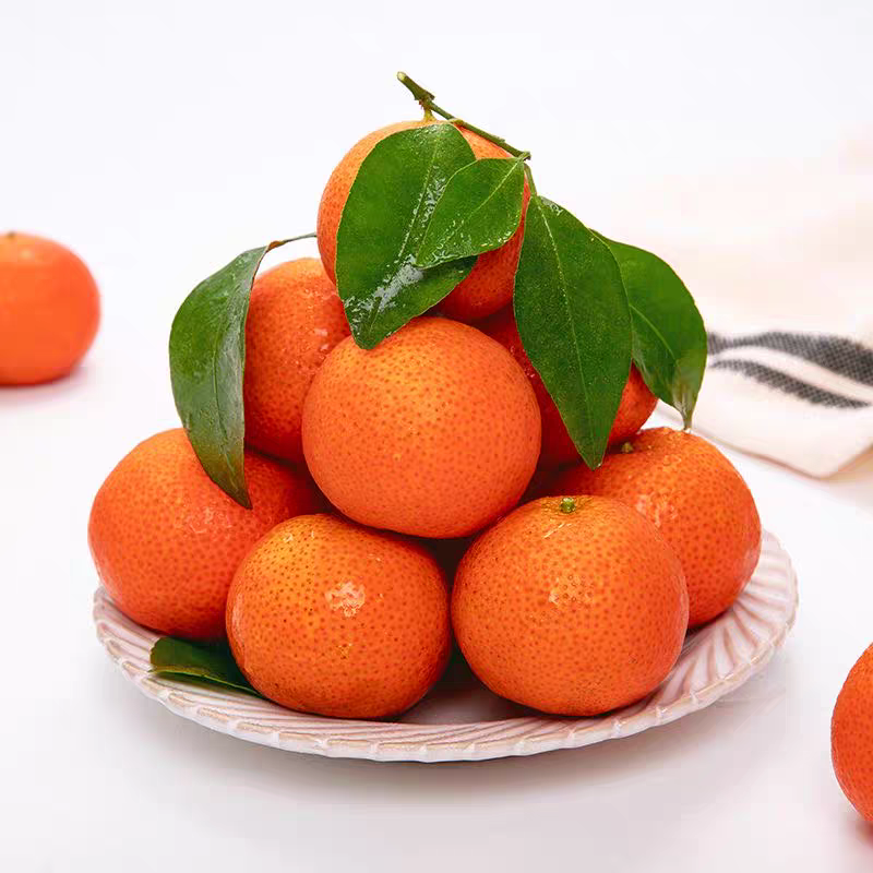 正宗广西桂林荔浦砂糖橘现摘现发新鲜多汁当季水果纯甜爆汁大果