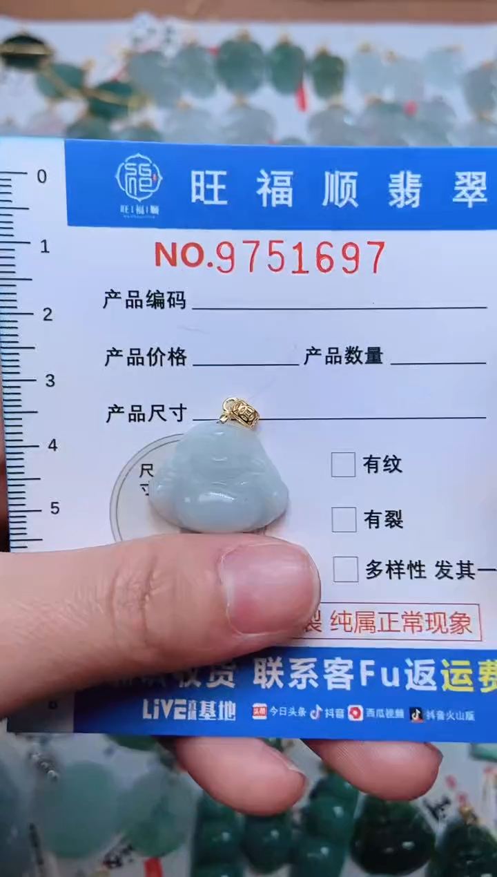 【闪购商品】翡翠颈饰未镶嵌天然缅甸A货翡翠颈饰配绳带礼盒