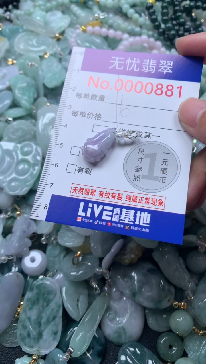 颈饰未镶嵌翡翠881