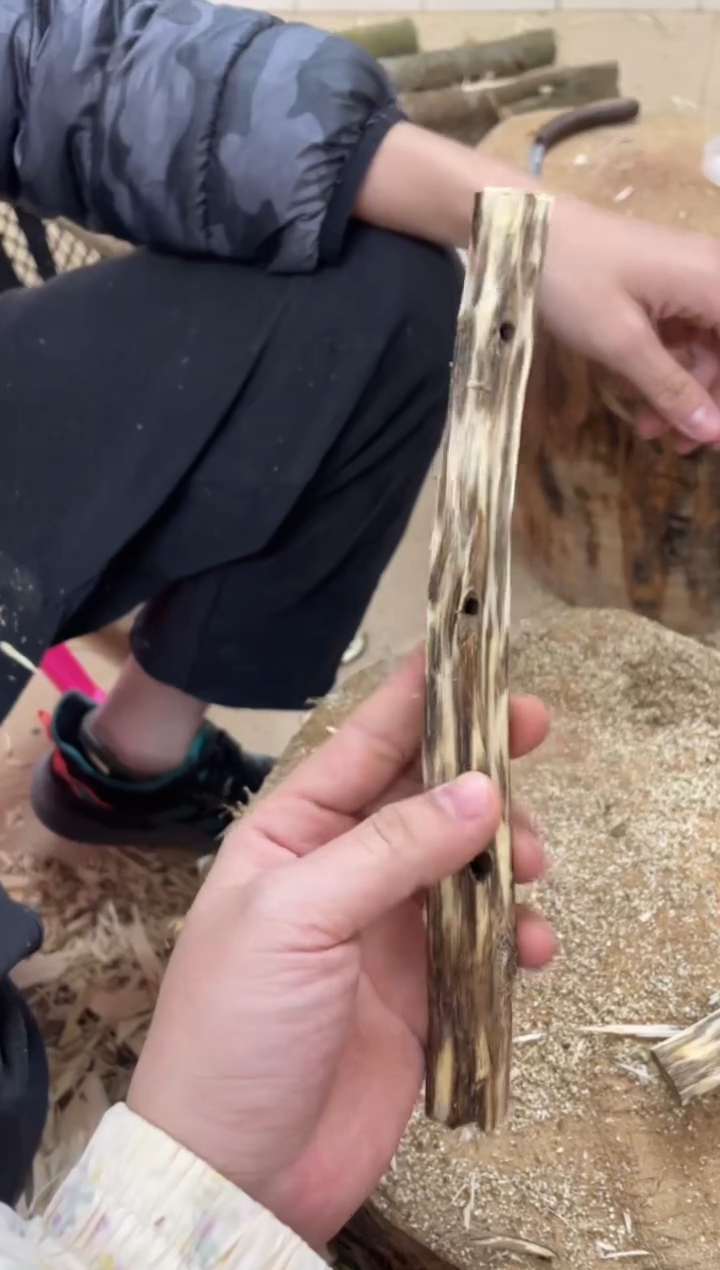 沉香沉香碎屑棋楠沉香 原料文创1