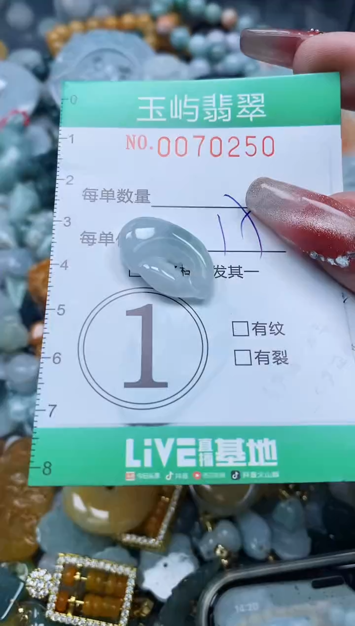 【闪购商品】翡翠颈饰未镶嵌闪购0070250