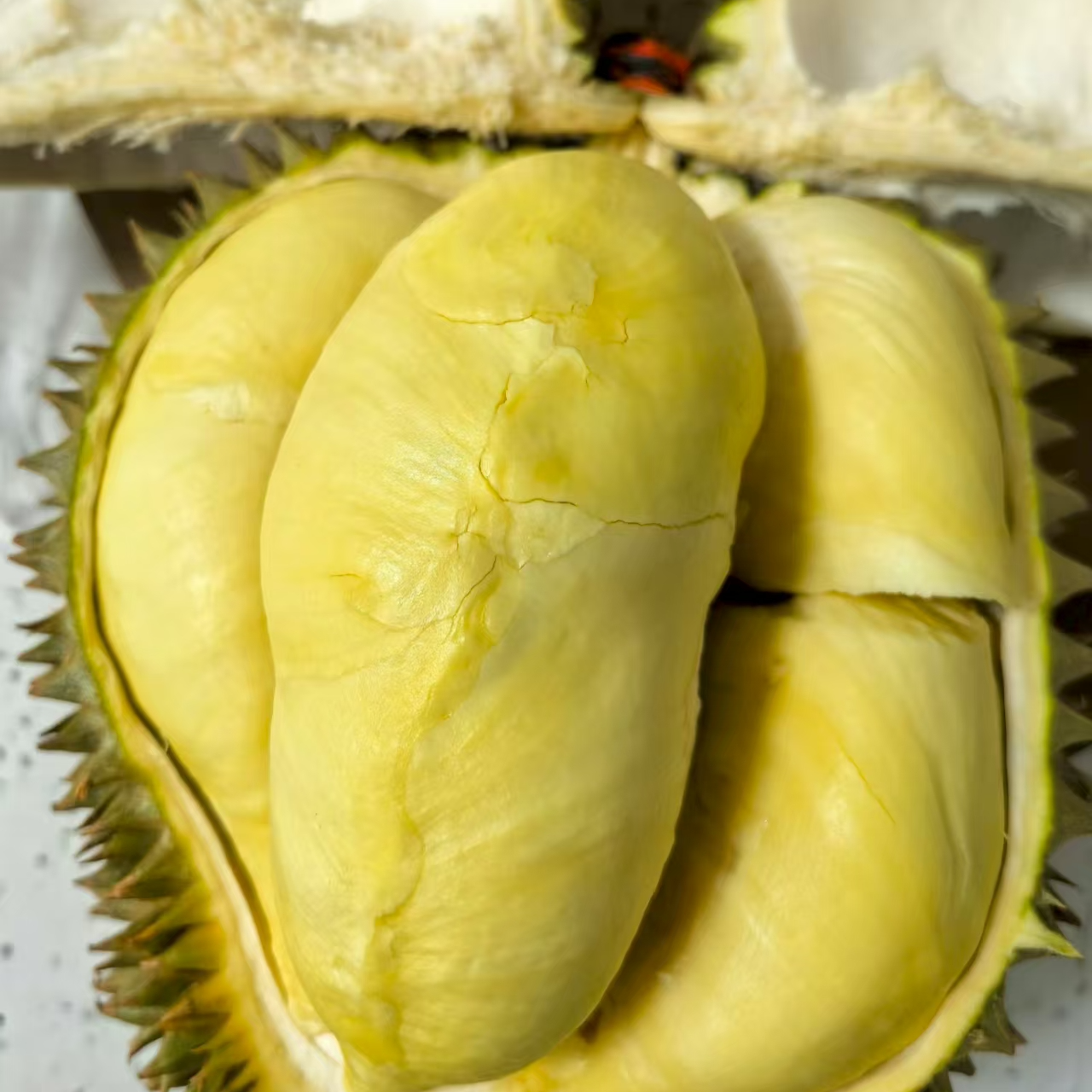    金枕榴莲  夹生特价50元   1.5斤果肉 新鲜核小金枕越南