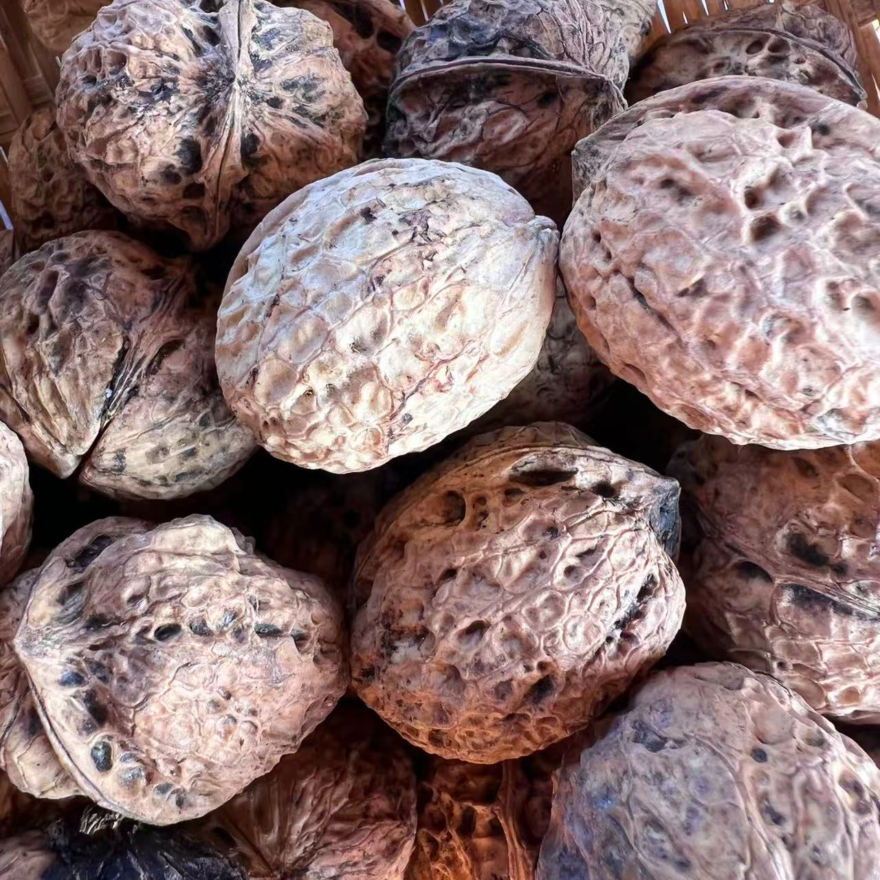 【陈玉兰助农直播】贵州农家核桃