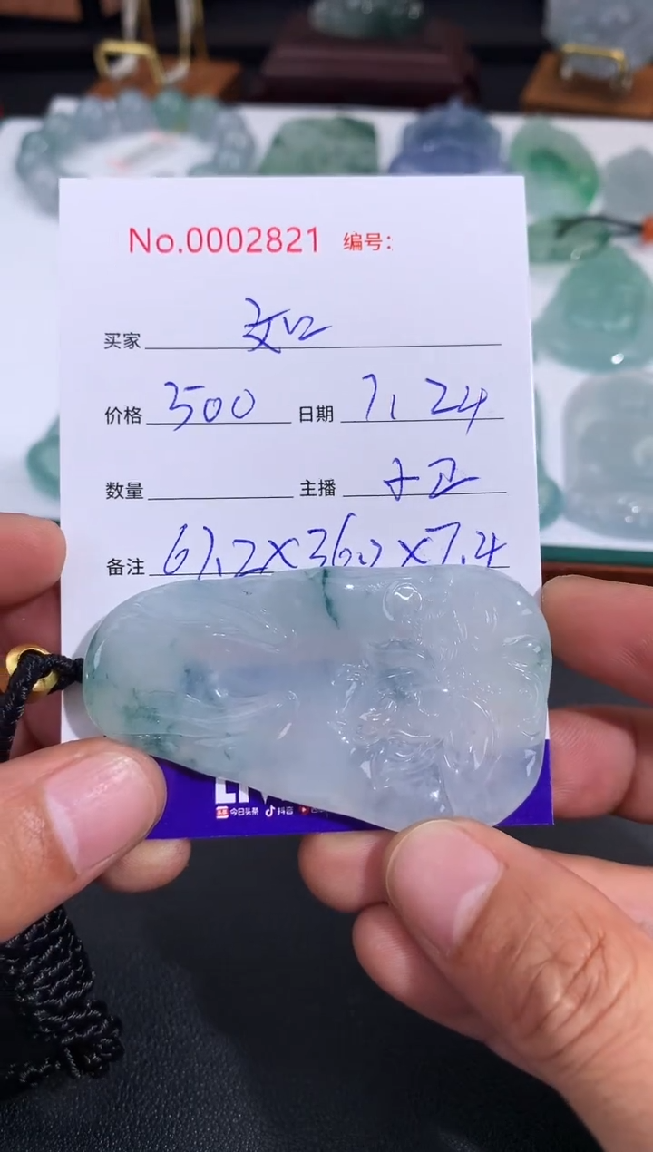 【闪购商品】翡翠颈饰未镶嵌 如