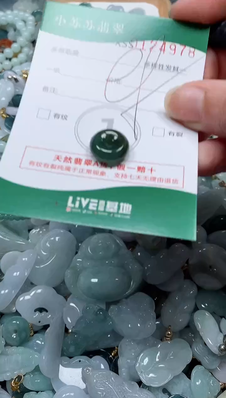 【闪购商品】翡翠颈饰未镶嵌闪购商品0124978