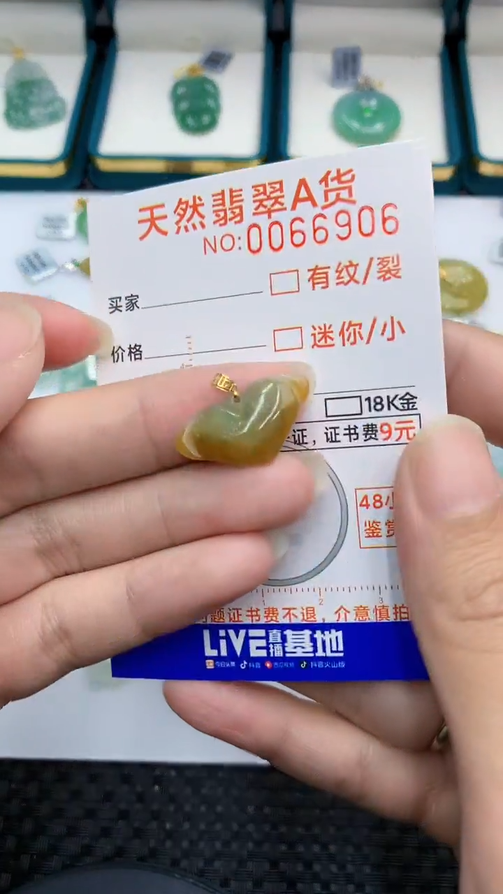 【闪购商品】翡翠颈饰18K金镶嵌            8