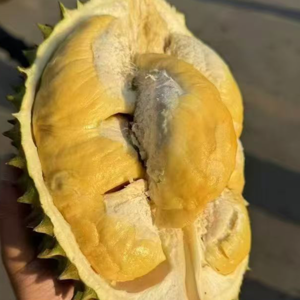 菲律宾黄金普雅榴莲鲜榴莲称斤核小普雅榴莲菲律宾