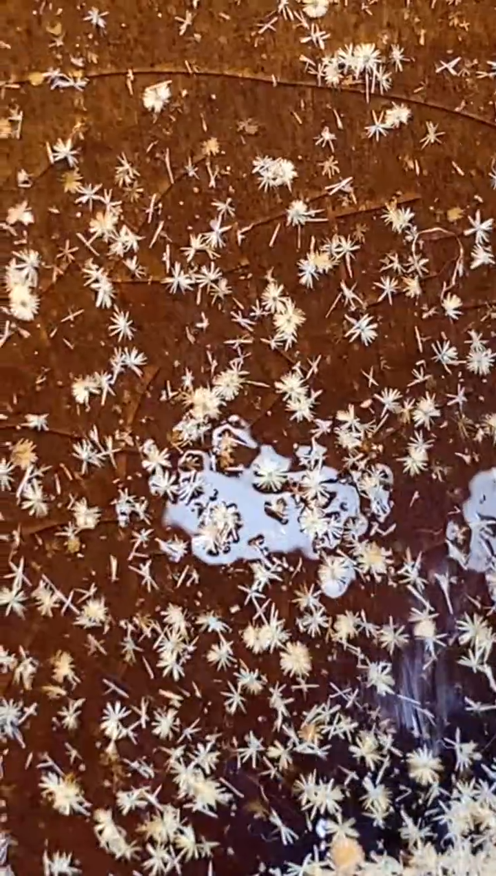 【闪购商品】茶盏807建盏建盏建盏建盏