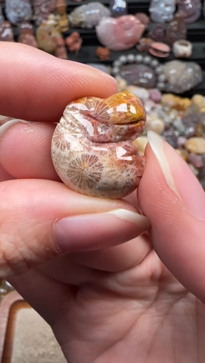 颈饰未镶嵌硅化珊瑚（珊瑚玉）826