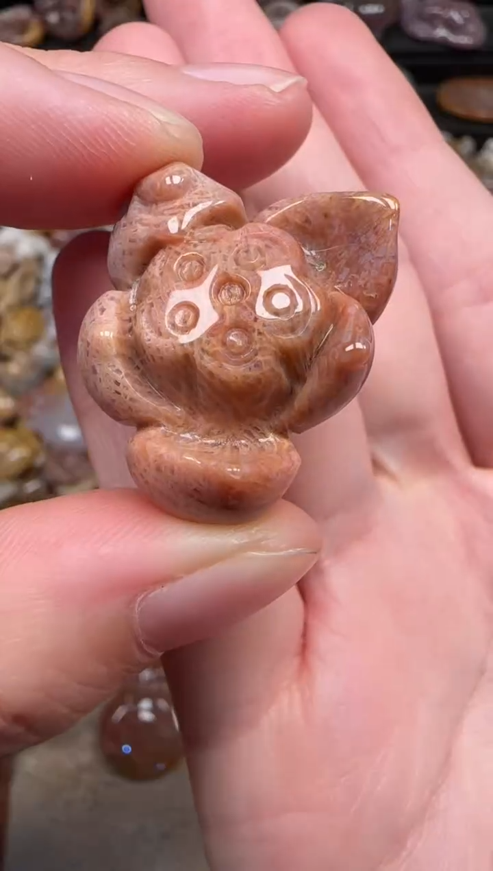 颈饰未镶嵌硅化珊瑚（珊瑚玉）127