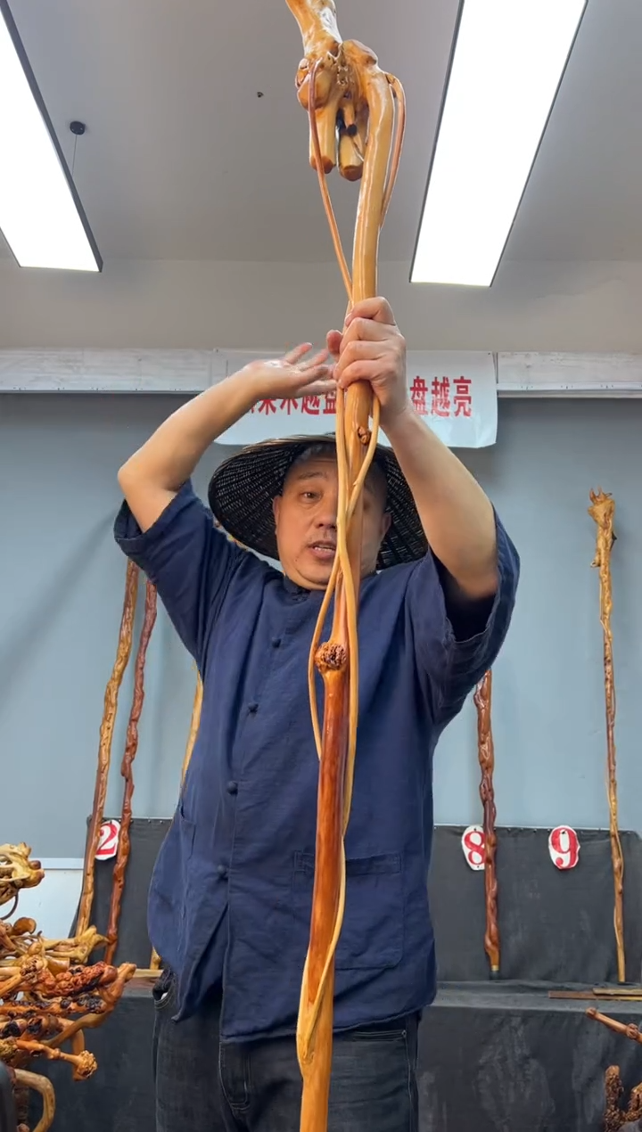 【闪购商品】黑果木其他黑果木456