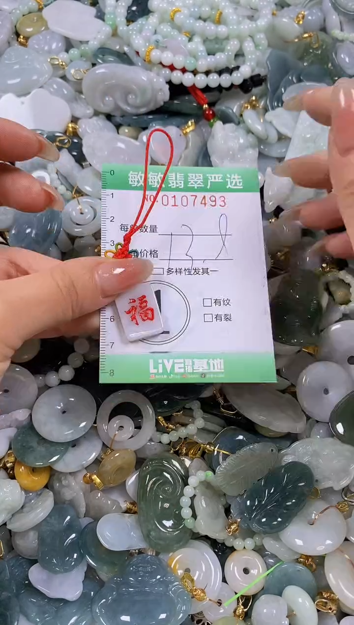 【闪购商品】翡翠颈饰未镶嵌闪购0107493