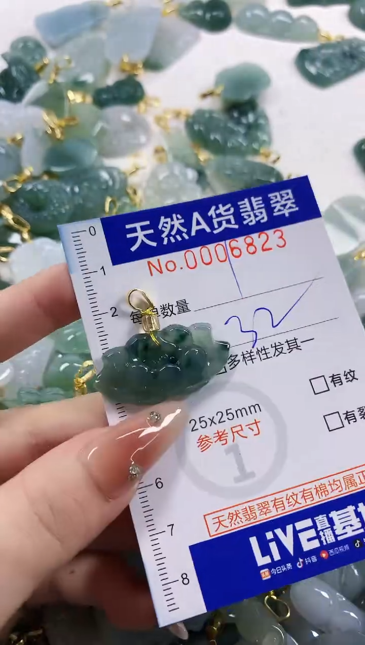 颈饰未镶嵌翡翠天然A货翡翠