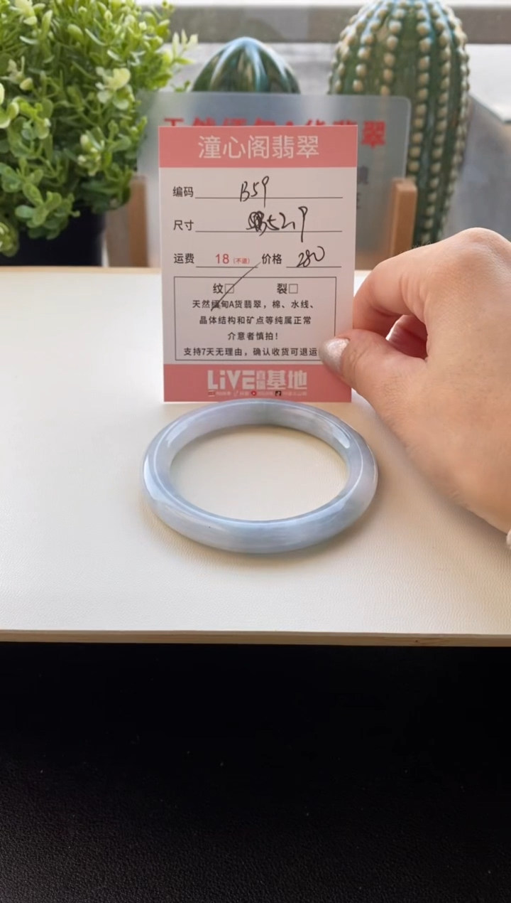 未镶嵌手镯翡翠圈口52.9编码B59