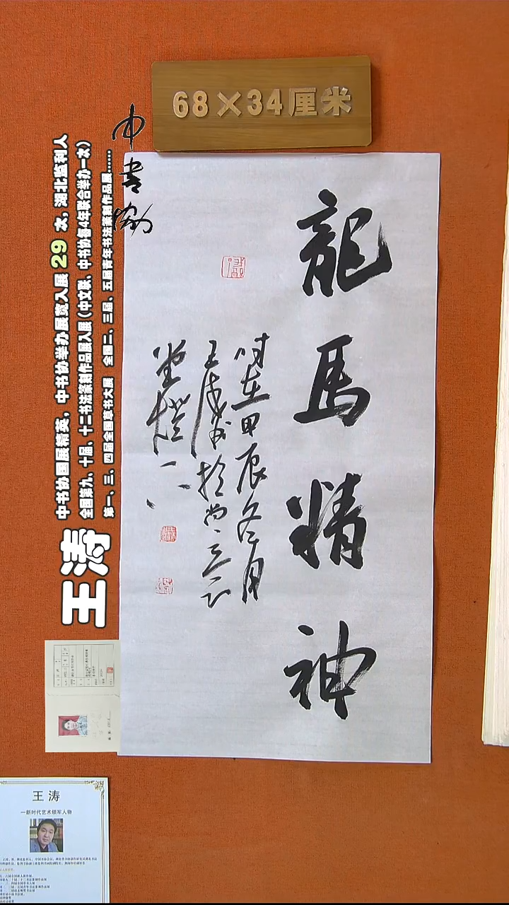 【闪购商品】书法317王涛书法作品