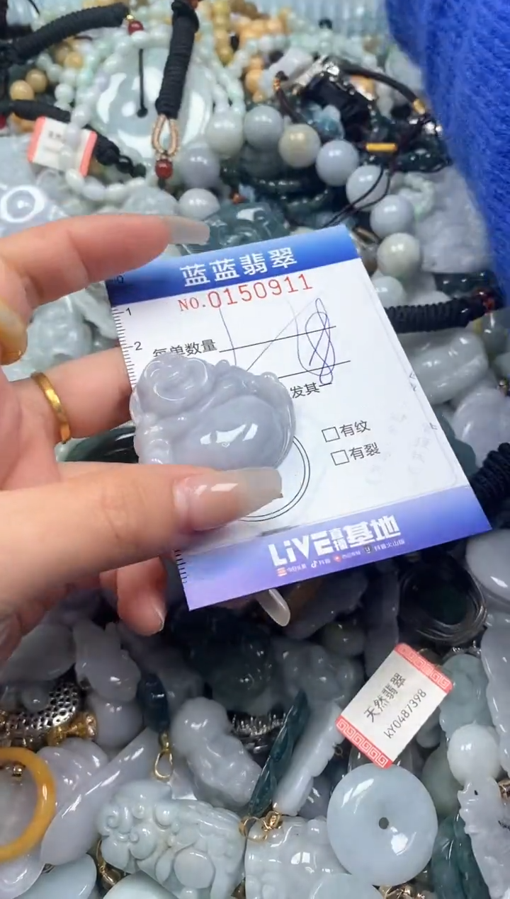 【闪购商品】翡翠颈饰未镶嵌闪购0150911多样性发其一