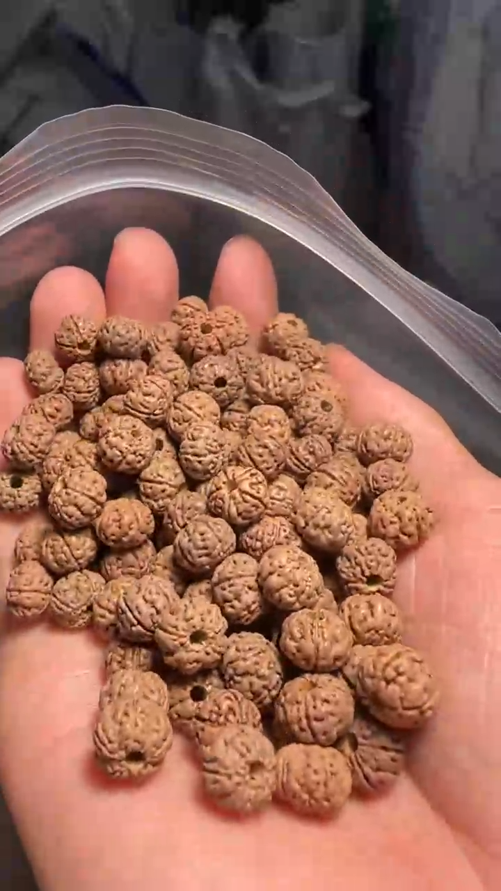 金刚菩提手串非全品老树王散籽9-10mm一份一百颗