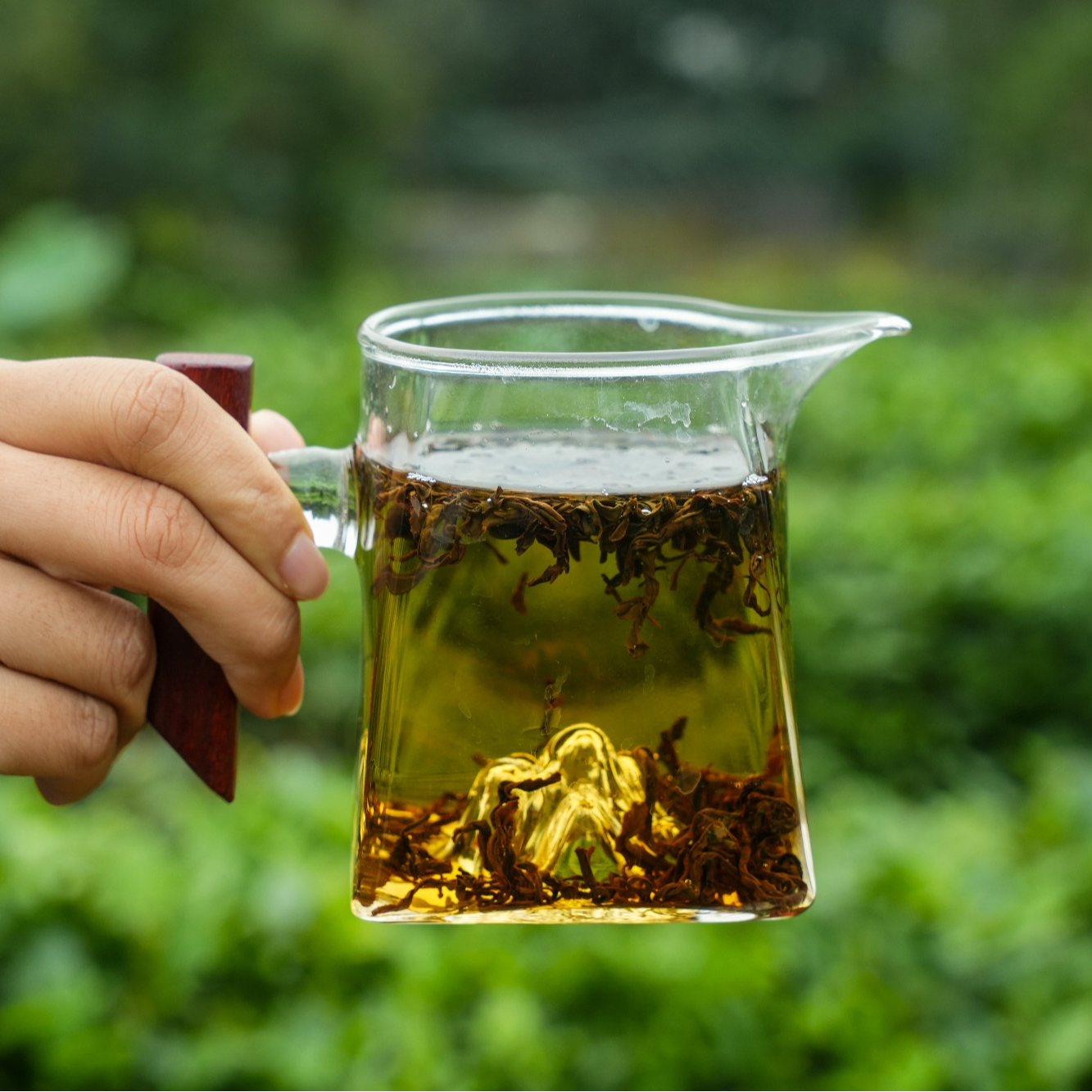 【秋红茶细料】老秋红茶一芽一叶/蜜甜花果香/2025日照红茶新茶/