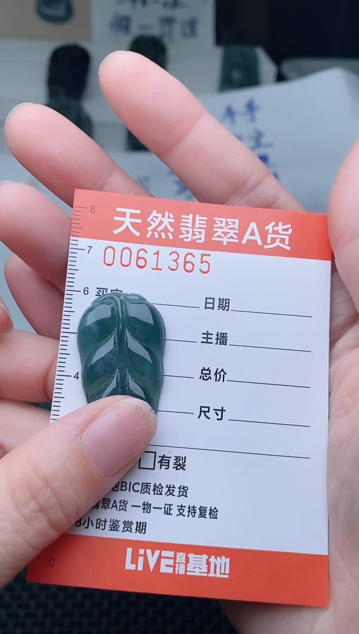 翡翠未镶嵌颈饰