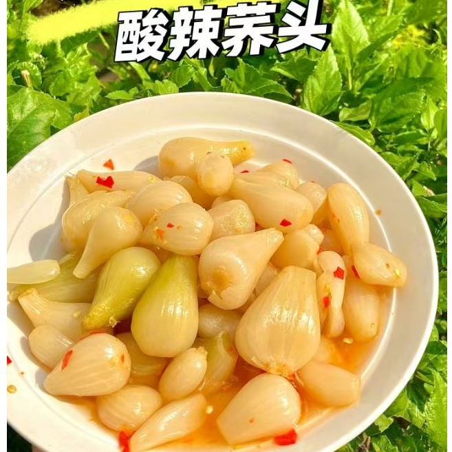 新鲜腌制酸辣荞头藠头剁椒口味地道下饭菜脆爽开胃广西风味特产