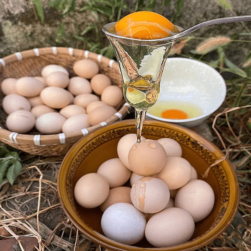 【50枚】农家散养土鸡蛋当日现捡新鲜谷物喂养学生营养五谷杂粮蛋 A