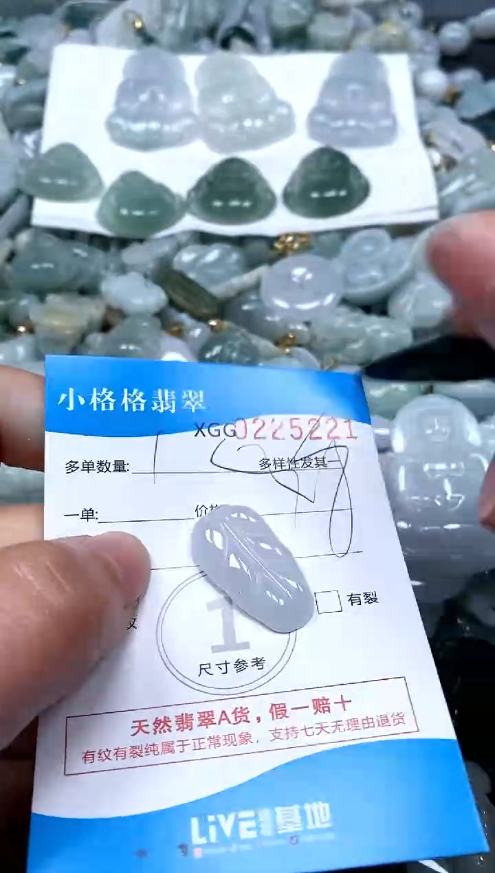 【闪购商品】翡翠颈饰未镶嵌闪购商品0225221