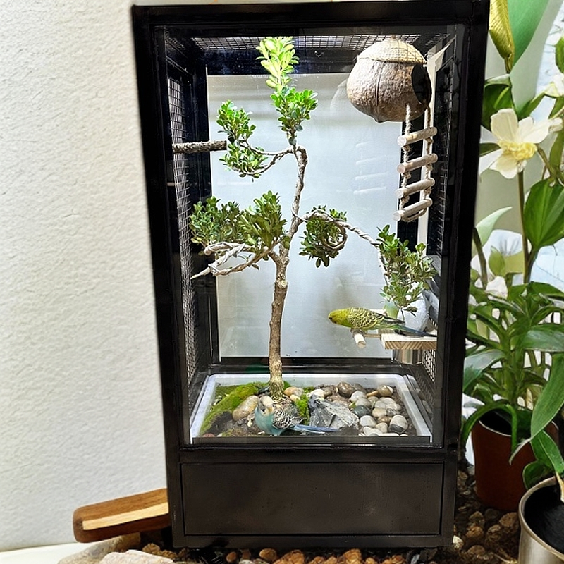 （小号）生态景观鸟笼养鸟（尺寸高80✖️长45✖️宽35）