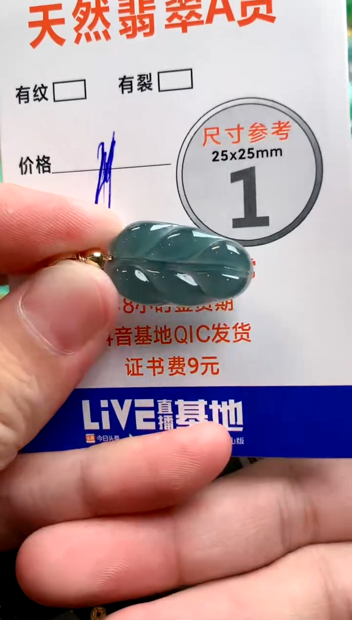 颈饰未镶嵌翡翠13000997