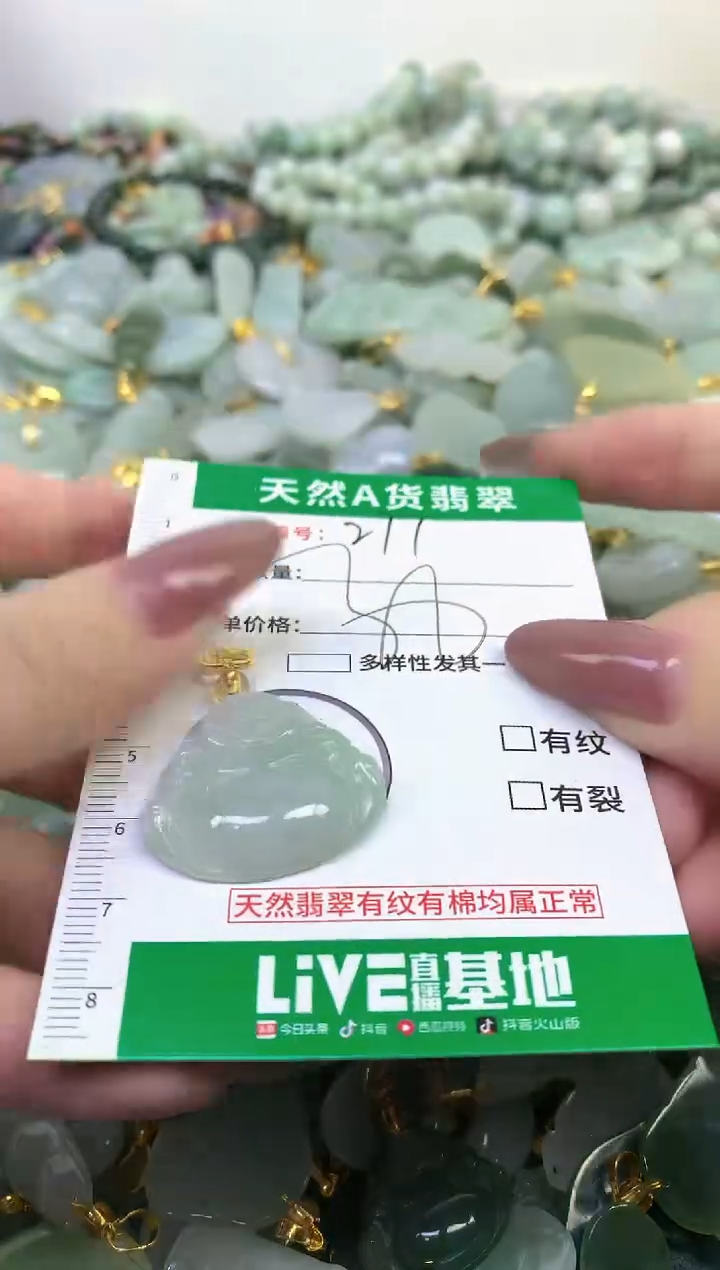 颈饰未镶嵌翡翠纯天然缅甸A货翡翠