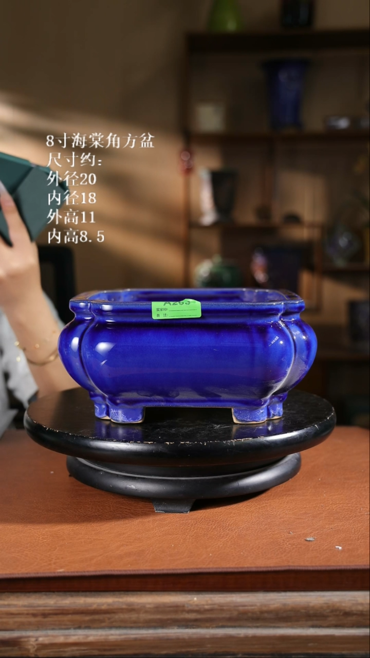 【限时买三免一活动】8寸海棠角方盆263