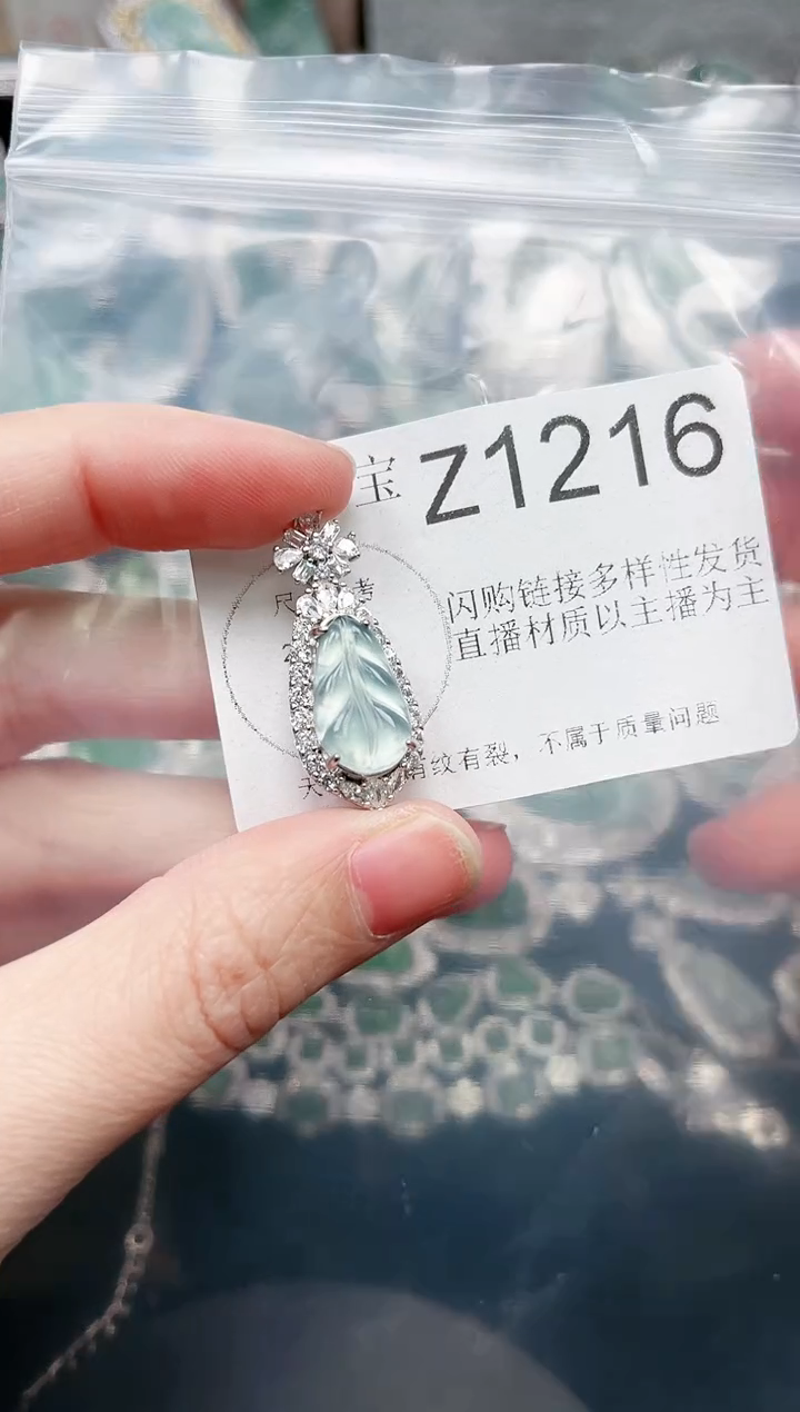 【闪购商品】翡翠颈饰未镶嵌赠皮绳1216