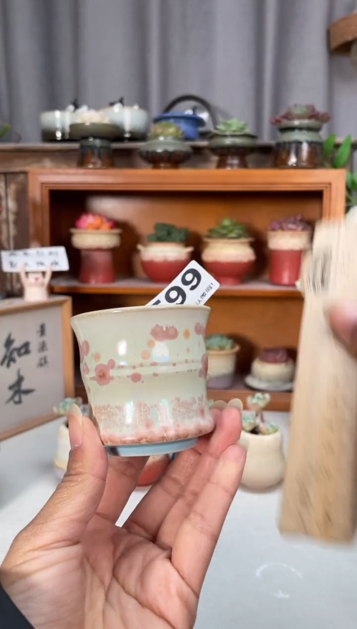 瓷片599小芳直播编号