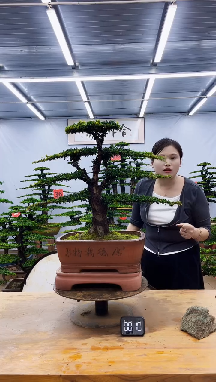 无花朵一物一拍，所见即所得