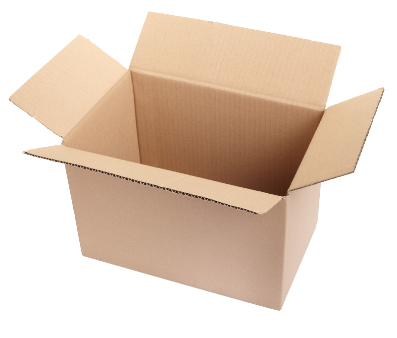 【宝贝专属链接】贝壳海螺包邮