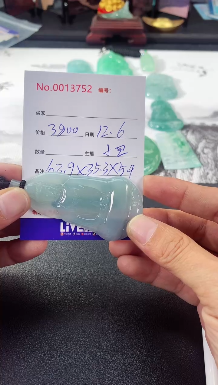 颈饰未镶嵌翡翠素衣