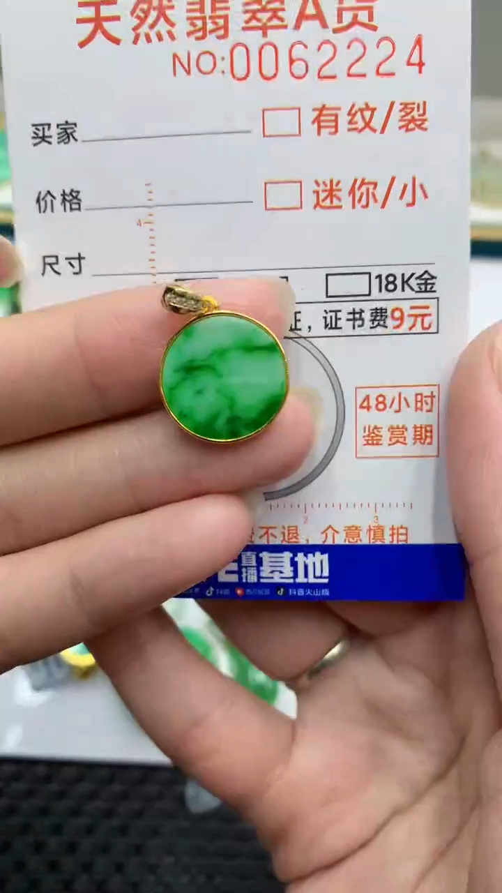 【闪购商品】翡翠颈饰银S925镶嵌            8