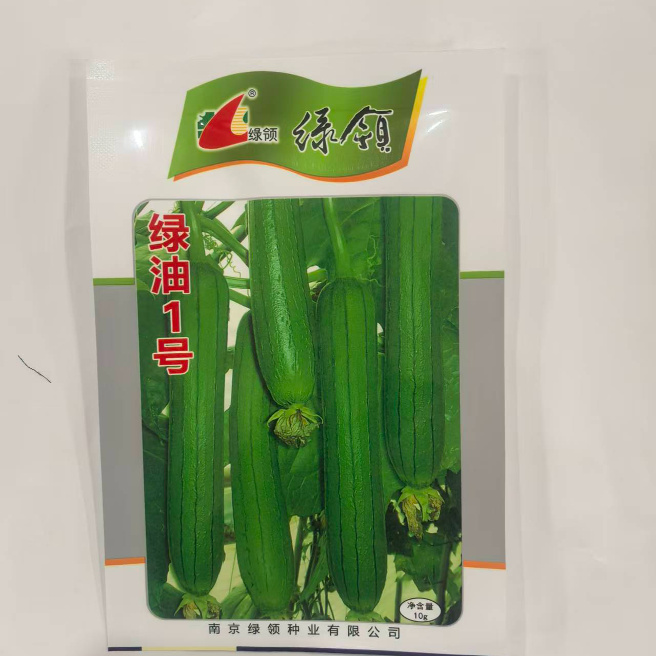 绿油1号丝瓜种子果皮油亮深、皮薄果肉绿白色肉质细纤维少不易老化